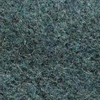 Pugi fenice 303 Swatch image for Pugi fenice 303